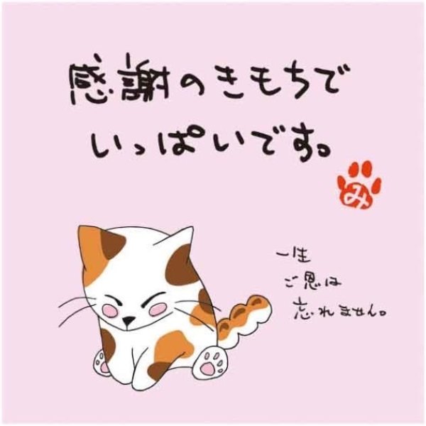 画像1: 岩間園製茶本舗・みたらしちゃん 一煎用宇治煎茶ティーバッグ/ラッピング付きセット (10個セット, 感謝の気持ちでいっぱい) [ B0CPLD1QS4 / 1120241206003 / MTS－01 ] (1)