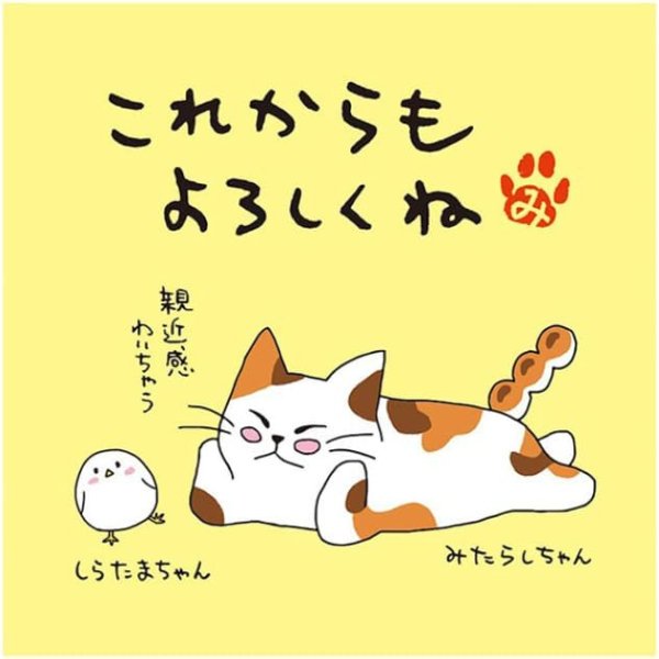 画像1: 岩間園製茶本舗・みたらしちゃん 一煎用宇治煎茶ティーバッグ/ラッピング付きセット (5個セット, これからもよろしくね) [ B0CTH3B8C3 / 1120241206015 / MTS－01 ] (1)